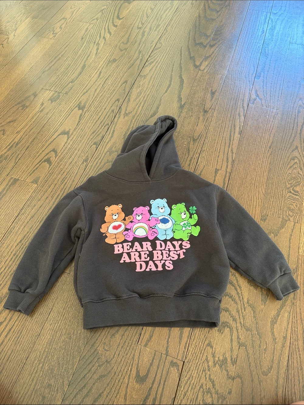 Zara Care Bears Kids Hoodie with Pink Text and Multicolor Bears